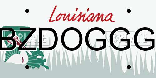 BZDOGGG Louisiana License Plate