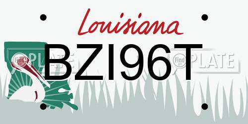 BZI96T Louisiana License Plate