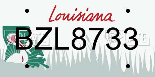 BZL8733 Louisiana License Plate