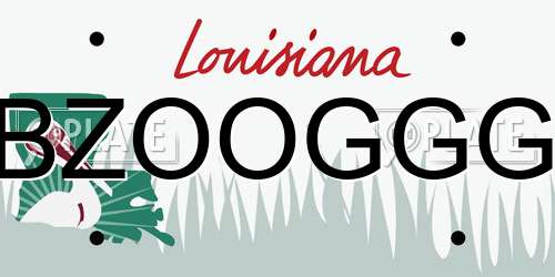 BZOOGGG Louisiana License Plate