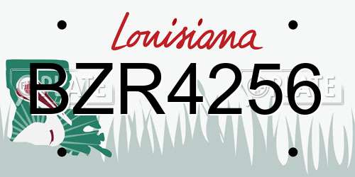 BZR4256 Louisiana License Plate