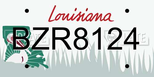 BZR8124 Louisiana License Plate