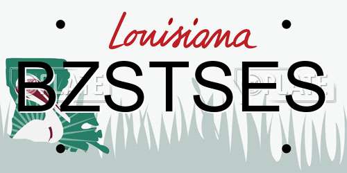 BZSTSES Louisiana License Plate