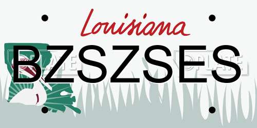 BZSZSES Louisiana License Plate