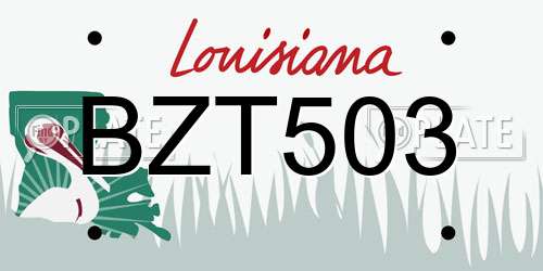 BZT503 Louisiana License Plate