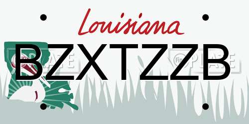 BZXTZZB Louisiana License Plate