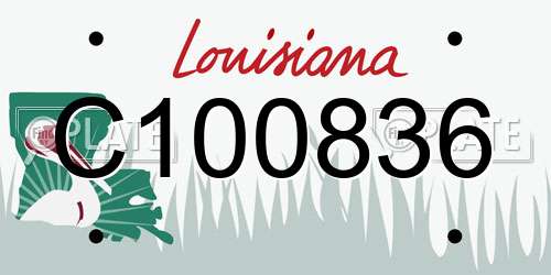 C100836 Louisiana License Plate