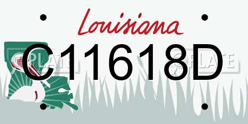 C11618D Louisiana License Plate
