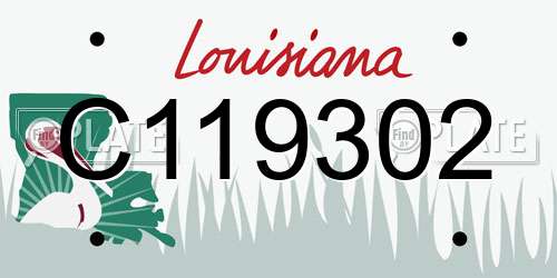 C119302 Louisiana License Plate