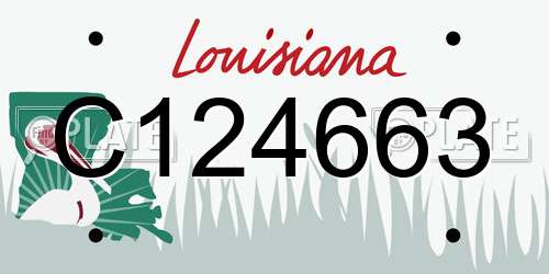 C124663 Louisiana License Plate
