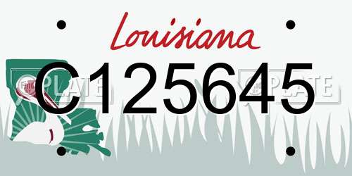 C125645 Louisiana License Plate