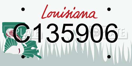 C135906 Louisiana License Plate