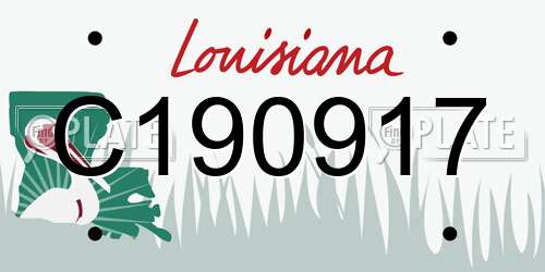 C190917 Louisiana License Plate