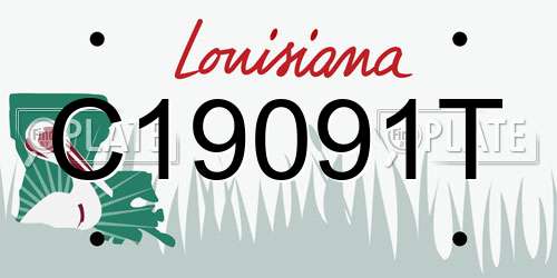 C19091T Louisiana License Plate