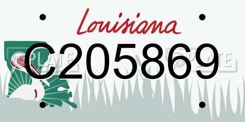 C205869 Louisiana License Plate
