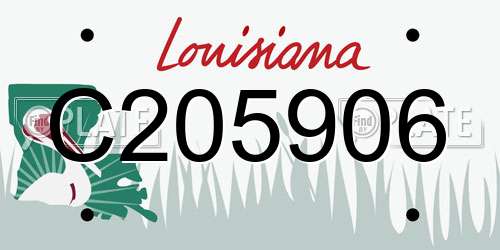 C205906 Louisiana License Plate