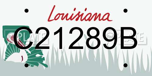 C21289B Louisiana License Plate
