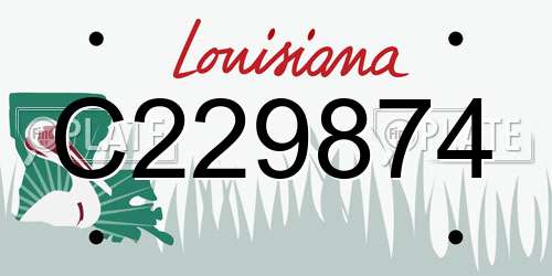 C229874 Louisiana License Plate