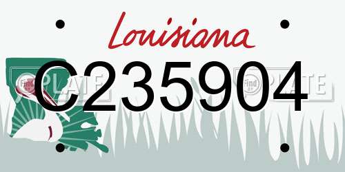 C235904 Louisiana License Plate