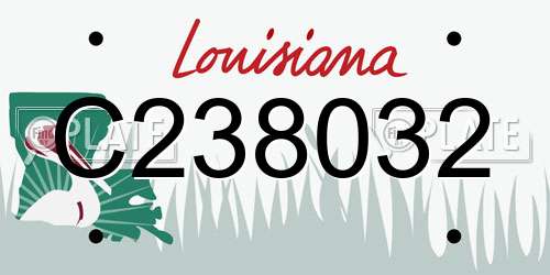 C238032 Louisiana License Plate