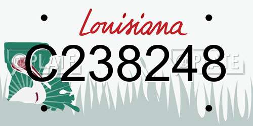 C238248 Louisiana License Plate