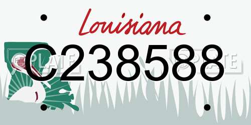 C238588 Louisiana License Plate