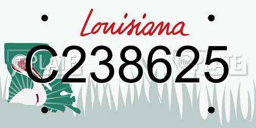 C238625 Louisiana License Plate