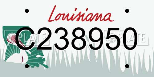 C238950 Louisiana License Plate