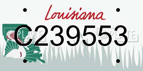 C239553 Louisiana License Plate
