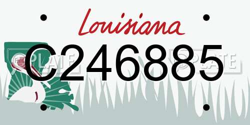 C246885 Louisiana License Plate