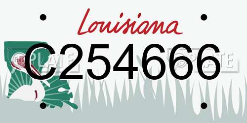 C254666 Louisiana License Plate