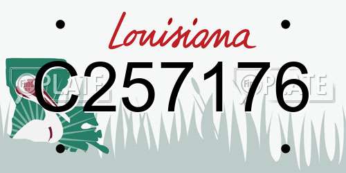 C257176 Louisiana License Plate