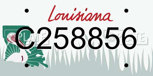 C258856 Louisiana License Plate