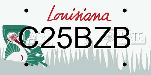 C25BZB Louisiana License Plate