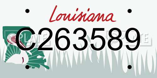 C263589 Louisiana License Plate