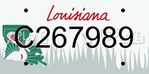 C267989 Louisiana License Plate