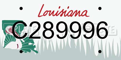 C289996 Louisiana License Plate