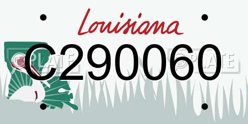 C290060 Louisiana License Plate