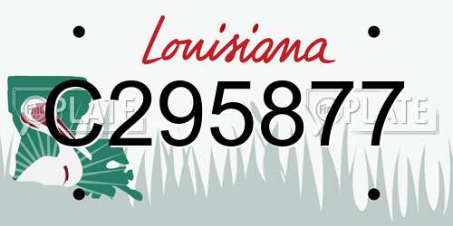 C295877 Louisiana License Plate