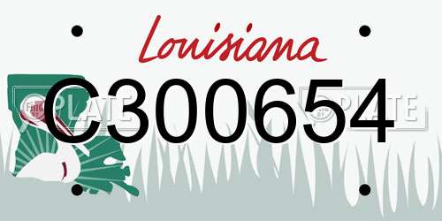 C300654 Louisiana License Plate