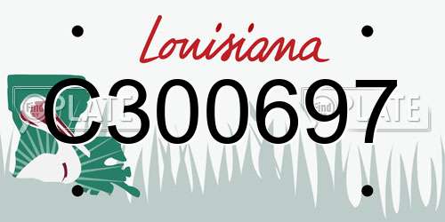 C300697 Louisiana License Plate