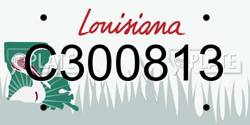 C300813 Louisiana License Plate