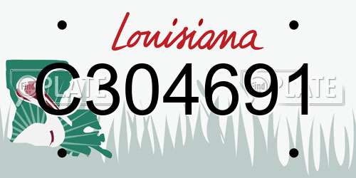 C304691 Louisiana License Plate