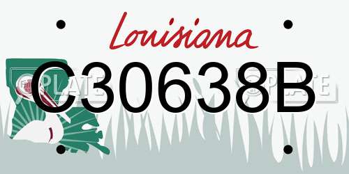 C30638B Louisiana License Plate