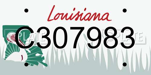 C307983 Louisiana License Plate