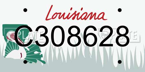 C308628 Louisiana License Plate