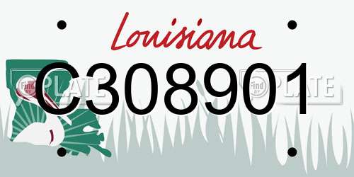 C308901 Louisiana License Plate