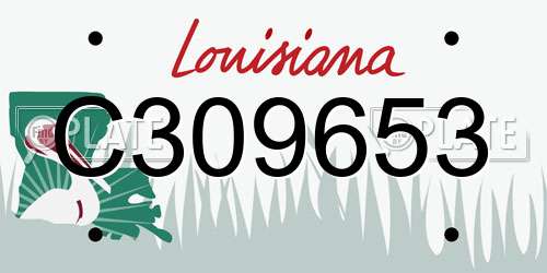 C309653 Louisiana License Plate