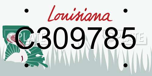 C309785 Louisiana License Plate