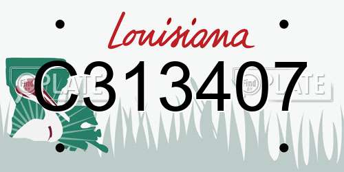 C313407 Louisiana License Plate